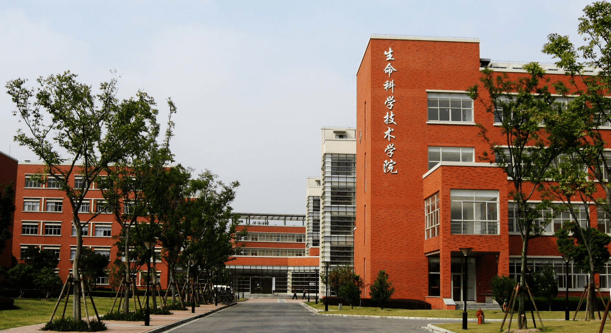 上海交通大学生命科学技术学院.png